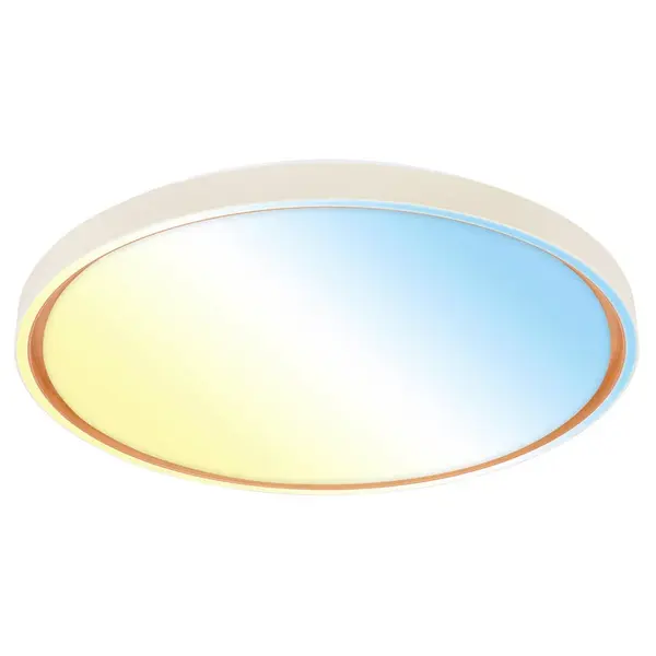 STROPNÍ LED SVÍTIDLO, 49,5/6,5 cm