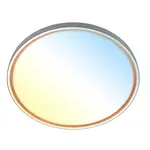 STROPNÍ LED SVÍTIDLO, 49.5/6,5 cm