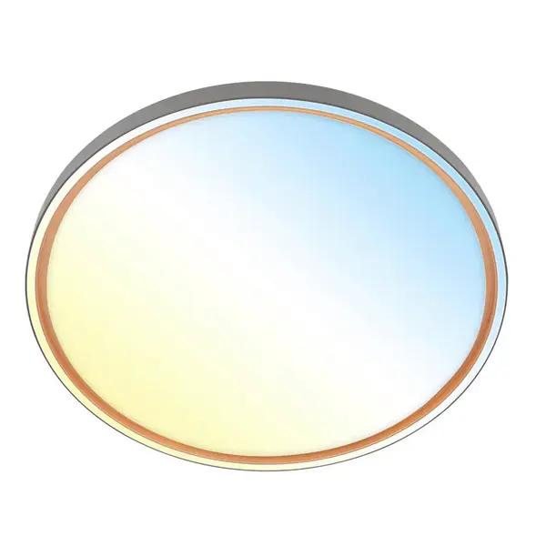 STROPNÍ LED SVÍTIDLO, 49.5/6,5 cm