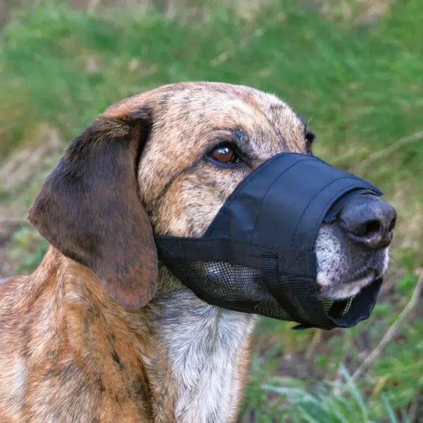 Trixie sieťový obojok M (TRX19263)