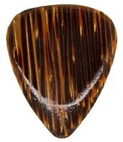 Timber Tones Coconut Palm