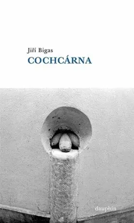 Cochcárna - Jiří Bigas