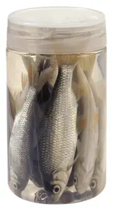 Albatros nástražní rybičky v nálevu roach plotice 10/12 cm 8 ks