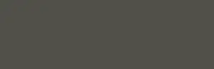 Brush pen Ecoline 717 Cold Grey