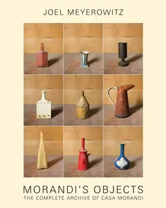 Joel Meyerowitz: Morandis Objects - Maggie Barrett