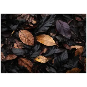 Wallarena FOTOTAPETA listy příroda černá 200x140 cm