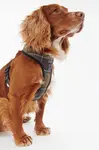 Barbour  Postroj pro psa
