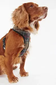 Barbour  Postroj pro psa