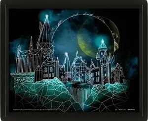 Harry Potter Obraz 3D - Bradavice