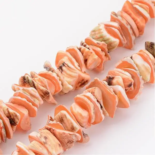 Natural Shell Bead Strands