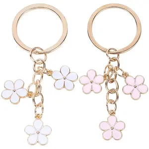 2Pcs 2 Colors Zinc Alloy Keychain