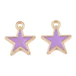Alloy with Enamel Charms
