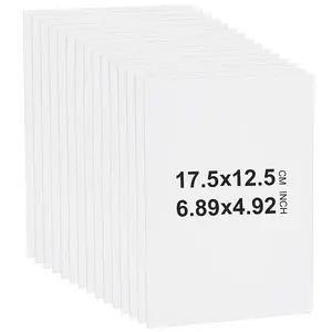 Paper Picture Photo Mat
