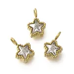 304 Stainless Steel Micro Pave Cubic Zirconia Charms