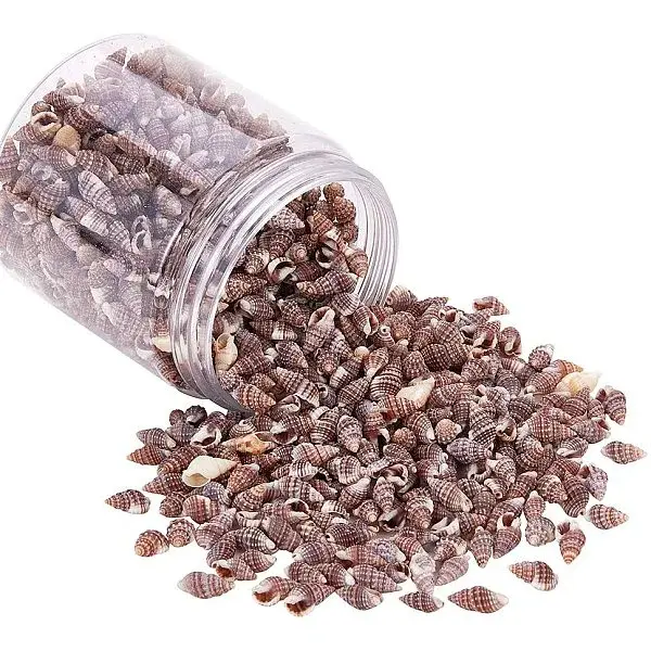 Sea Shell Beads