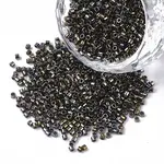 FGB 11/0 Grade A Glass Seed Beads