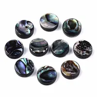 Natural Abalone Shell/Paua Shell Beads