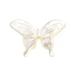 Natural White Shell Beads