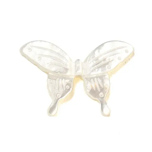 Natural White Shell Beads