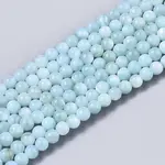 Natural Freshwater Shell Beads Strands