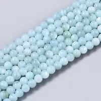 Natural Freshwater Shell Beads Strands