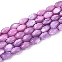 Natural Trochus Shell Beads Strands