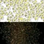 Luminous Glass Seed Beads