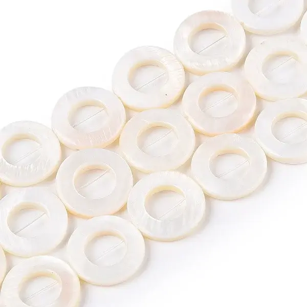 Natural Freshwater Shell Beads Strands