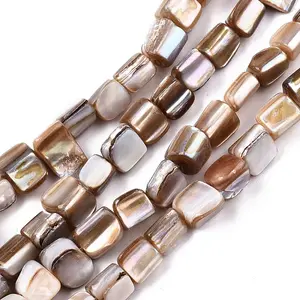 Natural Freshwater Shell Beads Strands