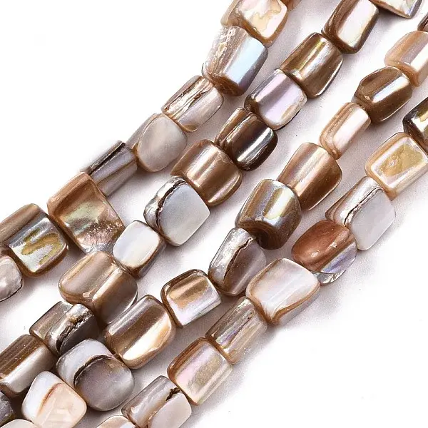 Natural Freshwater Shell Beads Strands