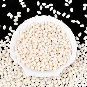 Baking Paint Glass Seed Beads