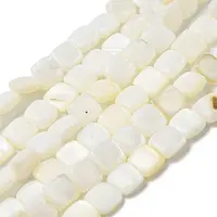 Natural Freshwater Shell Beads Strands