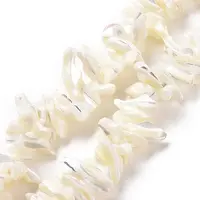 Natural Trochid Shell Beads Strands