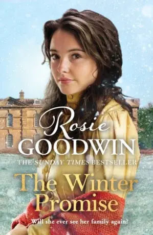 The Winter Promise - Rosie Goodwin