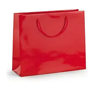 25 x Dárková taška z lesklého papíru červená 300x250x100 mm