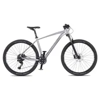 Horské kolo 4EVER Victory 29" 10.0 XL (21", 185-202 cm) silver pearl/black