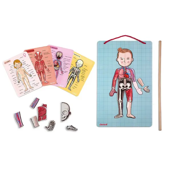 Magnetická skladačka - ľudské telo