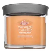 Yankee Candle Tumbler Slopeside Spritz 122 g