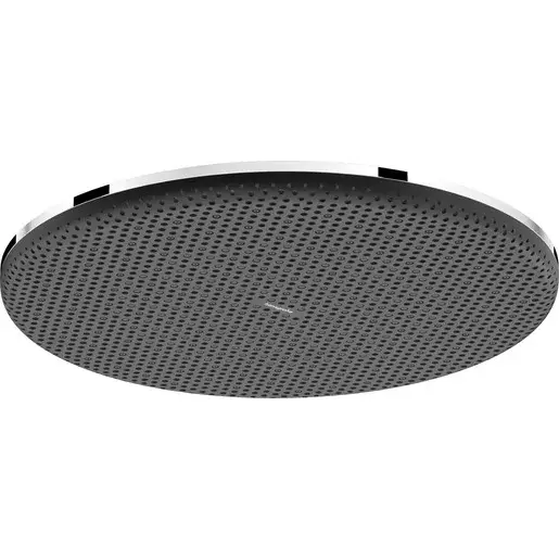 Hansgrohe Raindance Alive S hlavová sprcha na strop alebo na stenu chróm 24520000