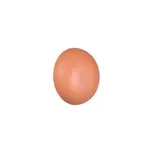 Reality Davey nástenné svetlo béžová r24431140 RER24431140