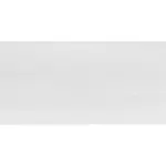 Obklad Rako Saloon svetlo sivá 30x60 cm mat WAKVK162.1