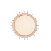 Reality Monte led stropné osvetlenie biela r62171130 RER62171130