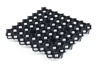 Zatravňovací tvárnice EcoGrass, černá ZJ60