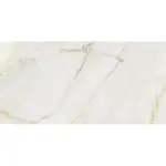 Joy Gold CCR111-1 30/60 Rett.