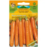 Mrkva karotka skorá