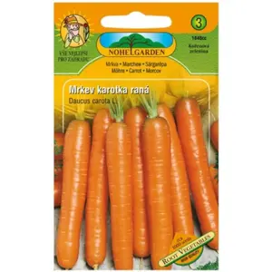 Mrkva karotka skorá