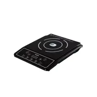 Elektrický indukční vařič