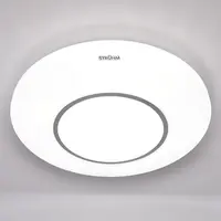 Stropní svítidlo Ringe LED 03283 24w 4000k bílá