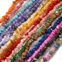 Natural Freshwater Shell Beads