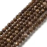 Natural Freshwater Shell Beads Strands